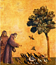 Franziskus predigt zu den V&ouml;geln (Giotto di Bondone)