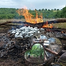 Feuer (Sandra Hesse)