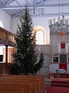 der Weihnachtsbaum in Mackenrode ist besonders gro&szlig;, hier gibt es eine routinierte D-Organistin und einen Sch&uuml;ler, der aber in diesem Jahr noch nicht eingreifen will (Foto: Norbert Patzelt)