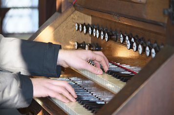 Detail (Foto: M.Sch&uuml;ler)