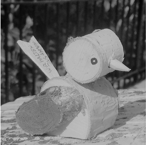 V&ouml;gel in Ilfeld (Foto: Privat)