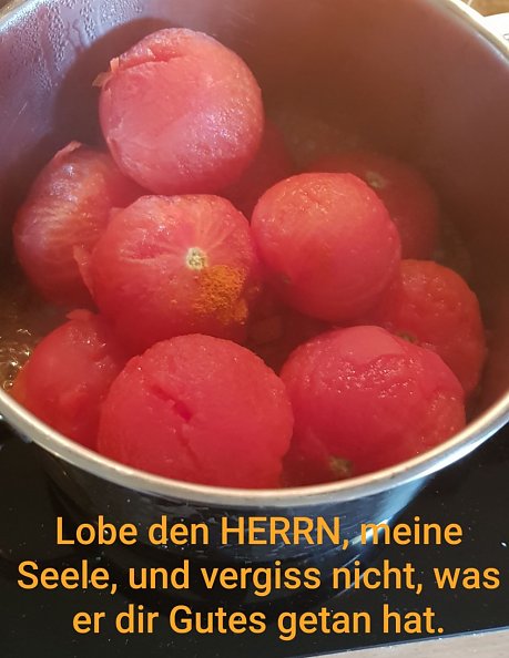 Lobe den HERRN (Foto: Regina Englert)