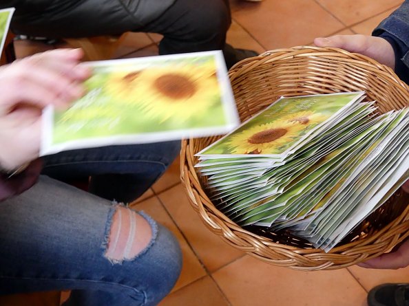 Hoffnungs&auml;en in Niedergebra - eine jede bei sich Zuhause (Foto: R. Englert)