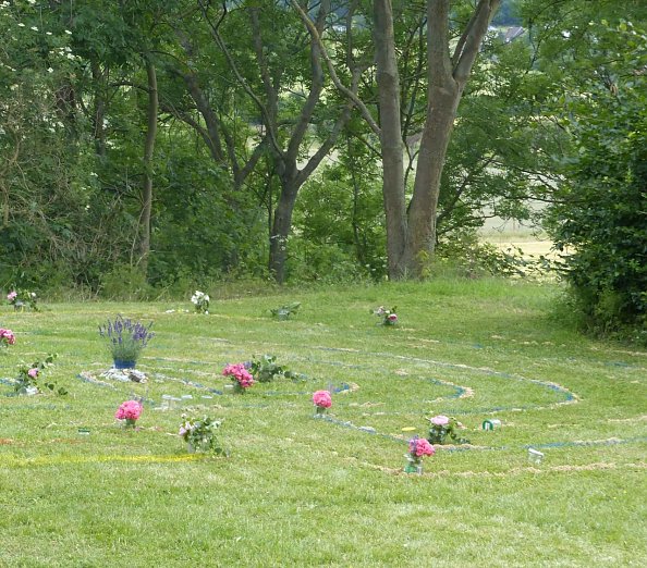 bunte Johanniswiese (Foto: Norbert Patzelt)