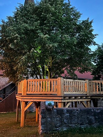 Tanzlinde abends (Foto: S.Wegner)