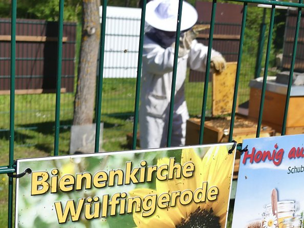 Bienenkirche W&uuml;lfingerode (Foto: R. Englert)
