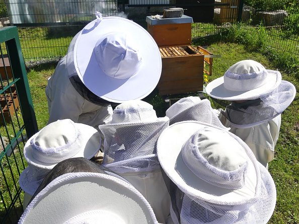 Bienenkirche W&uuml;lfingerode (Foto: R. Englert)