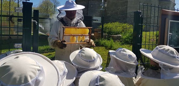 Bienenkirche W&uuml;lfingerode (Foto: R. Englert)