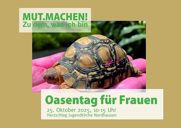 Seite 1 (Foto: Canva)