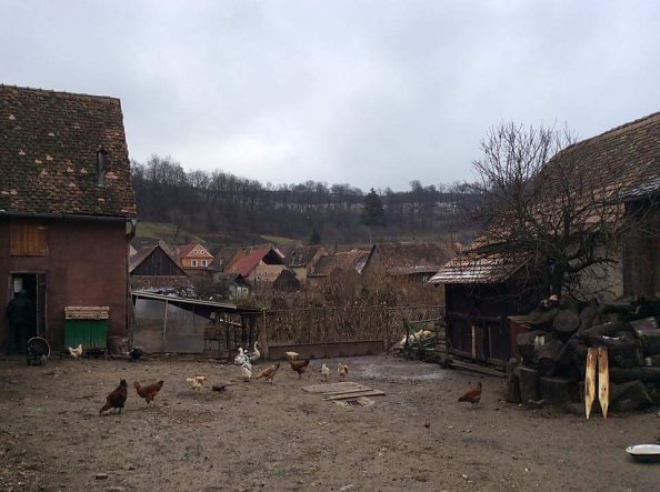 Deckung des Eigenbedarfs zu 30% aus eigener Produktion (Foto: M. G&ouml;rk)