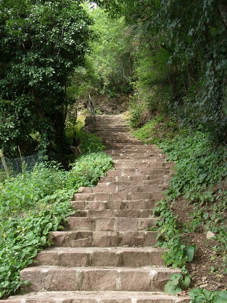 der Weg (Foto: Frauenberg)