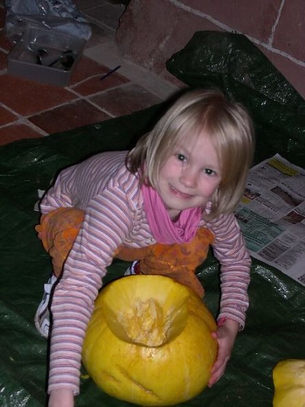 K&uuml;rbisjule (Foto: F. Tuschy)