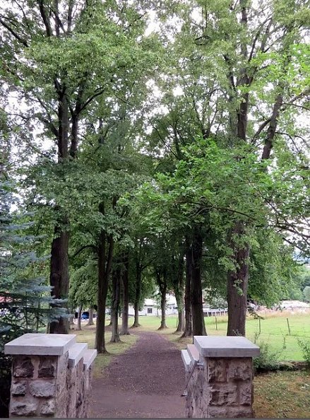 Der Weg zur Kreuzkirche in Bernterode (Foto: G. Pfeifenbring)