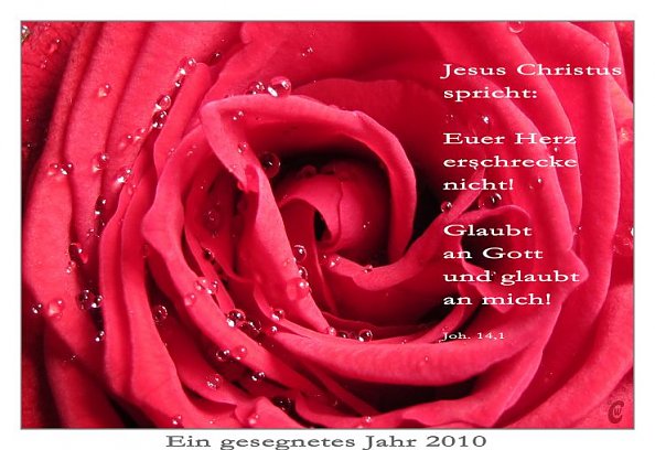 Gru&szlig; zum Jahr 2010 (Foto: Christiane Wiesemann)