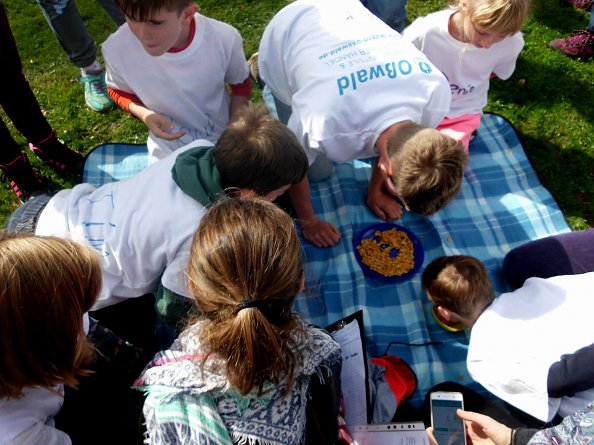 xxx (Foto: C. Scholl)